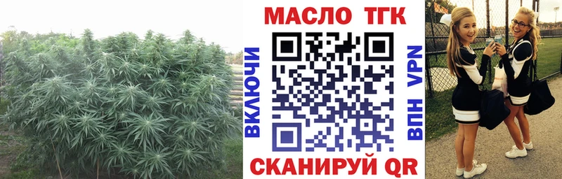 ТГК THC oil  Демидов 