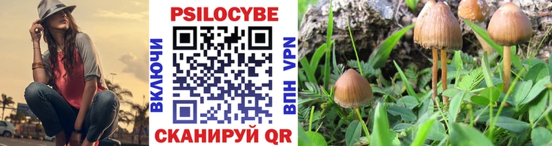 Псилоцибиновые грибы GOLDEN TEACHER  Демидов 